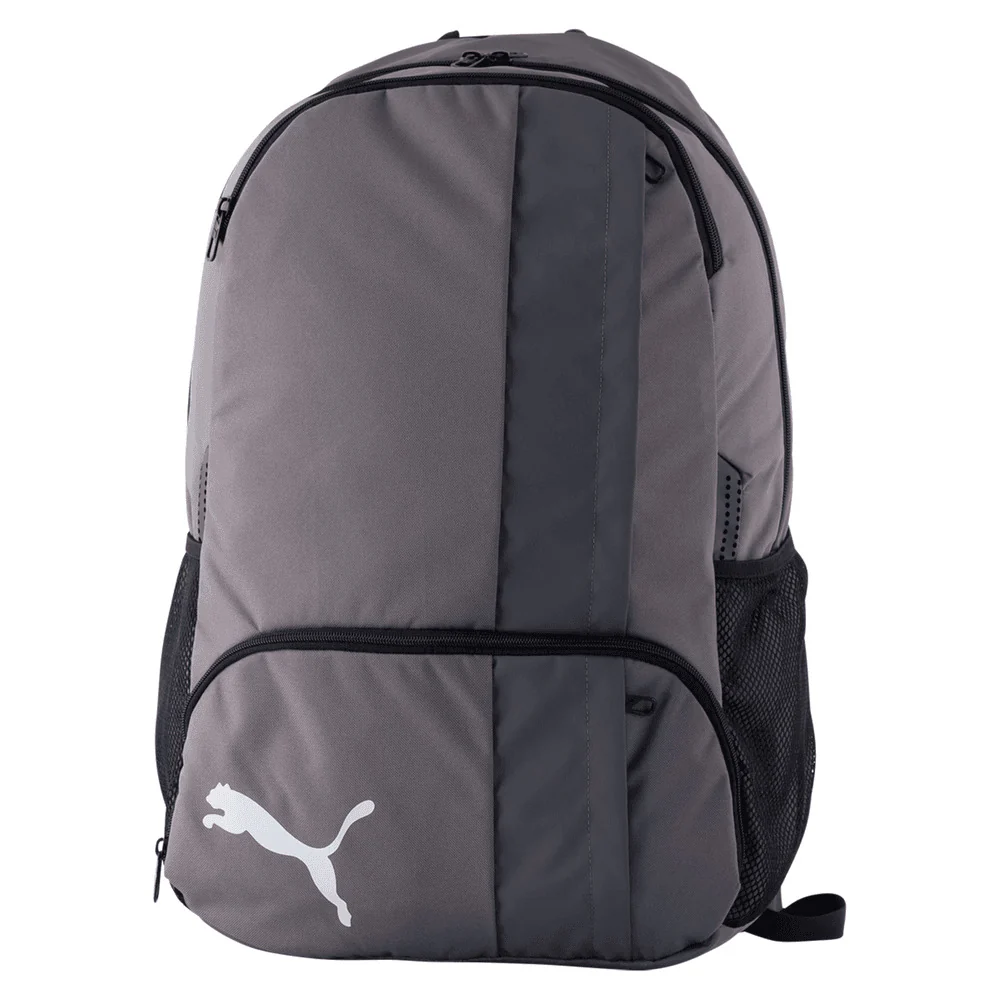 Puma TeamGOAL 23 Backpack Grey