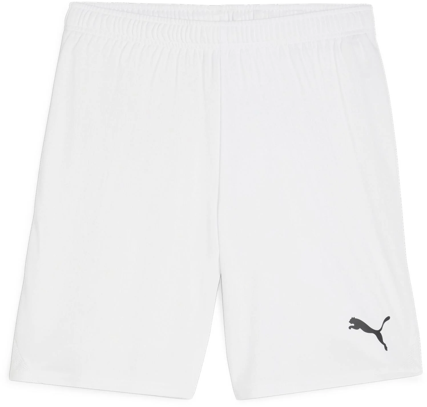Puma TeamGoal Shorts White