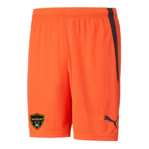Waterloo United Puma TeamLiga Shorts Nrgy Red Youth